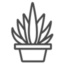 Cactus Plant Succulent Bowl Cactaceae Plant Icon
