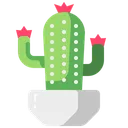 Cactus Plant Cactus Plant Icon