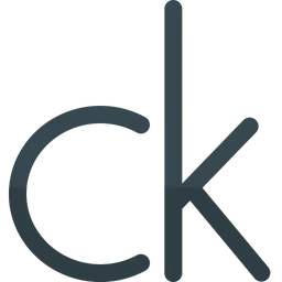 Calvin Klein Logo Icon - Download in Flat Style