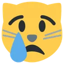 Cat Cry Face Icon