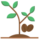 Coffee Plant Food Coffee Tree Plant Icon