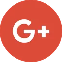 Connection Google Plus Icon