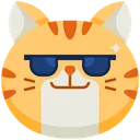 Cool Emoticon Cat Icon