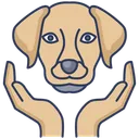 Dog Insurance Icon