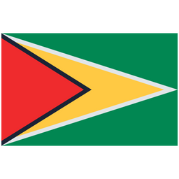 62 Guyana Flag Map Icons - Free in SVG, PNG, ICO - IconScout