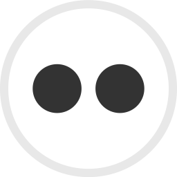 Flickr Logo Icon