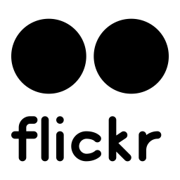 Flickr Logo Icon