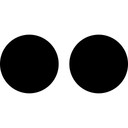 Flickr Logo Icon