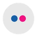 Flickr Social Media Logo Icon