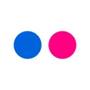 Flickr Brand Logo Icon