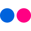 Flickr Logo Social Icon