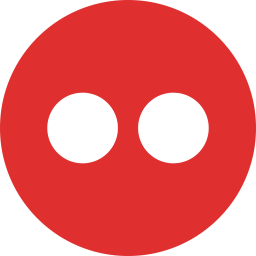 Flickr Logo Icon