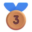 Free Place Medal Color Icon