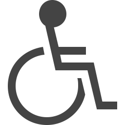 Free Accessibility  Icon
