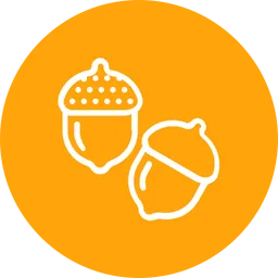 Free Acorn  Icon