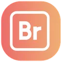 Free Adobe bridge  Icon