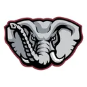 Free Alabama Crimson Tide Icon