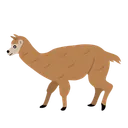 Free Alpaca Llama Mammal Icono