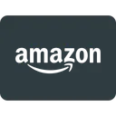 Free Amazon Pay Payments Icon