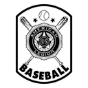 Free American Legion Baseball Icon