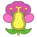 Free Anatomia da flor  Icon