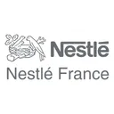 Free Nestle Francia Logo Icon