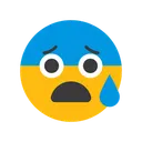 Free Anxious Face With Sweat  Icon