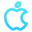 Free Apple pay  Icon