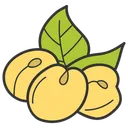 Free Apricot Fruit Healthy Diet Icon