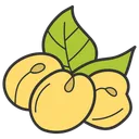 Free Apricot  Icon