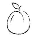 Free Aprikose  Symbol