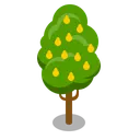 Free Arbol Pera Icono