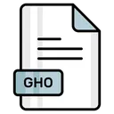 Free Gho Archivo Formato Icon