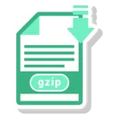 Free Gzip Archivo Formato Icono