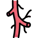 Free Arterien  Symbol