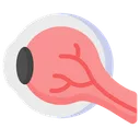 Free Auge Augapfel Sehvermogen Symbol