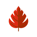 Free Autumn Leaf Autumn Canada Icon