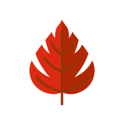 Free Autumn leaf  Icon