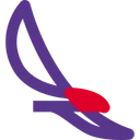 Free Aviation  Icône
