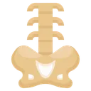Free Backbone  Symbol