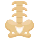 Free Backbone  Icon