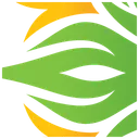 Free Background  Icon