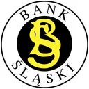 Free Bank Slaski Logo Icon