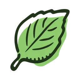 Free Basil leaf  Icon