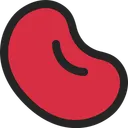 Free Bean  Icon