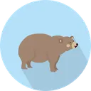 Free Bear  Icon