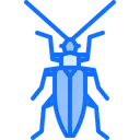Free Beetle  Icon