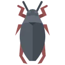 Free Beetle Bug Insect Icon