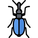 Free Beetle  Icon