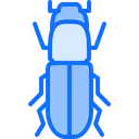 Free Beetle  Icon